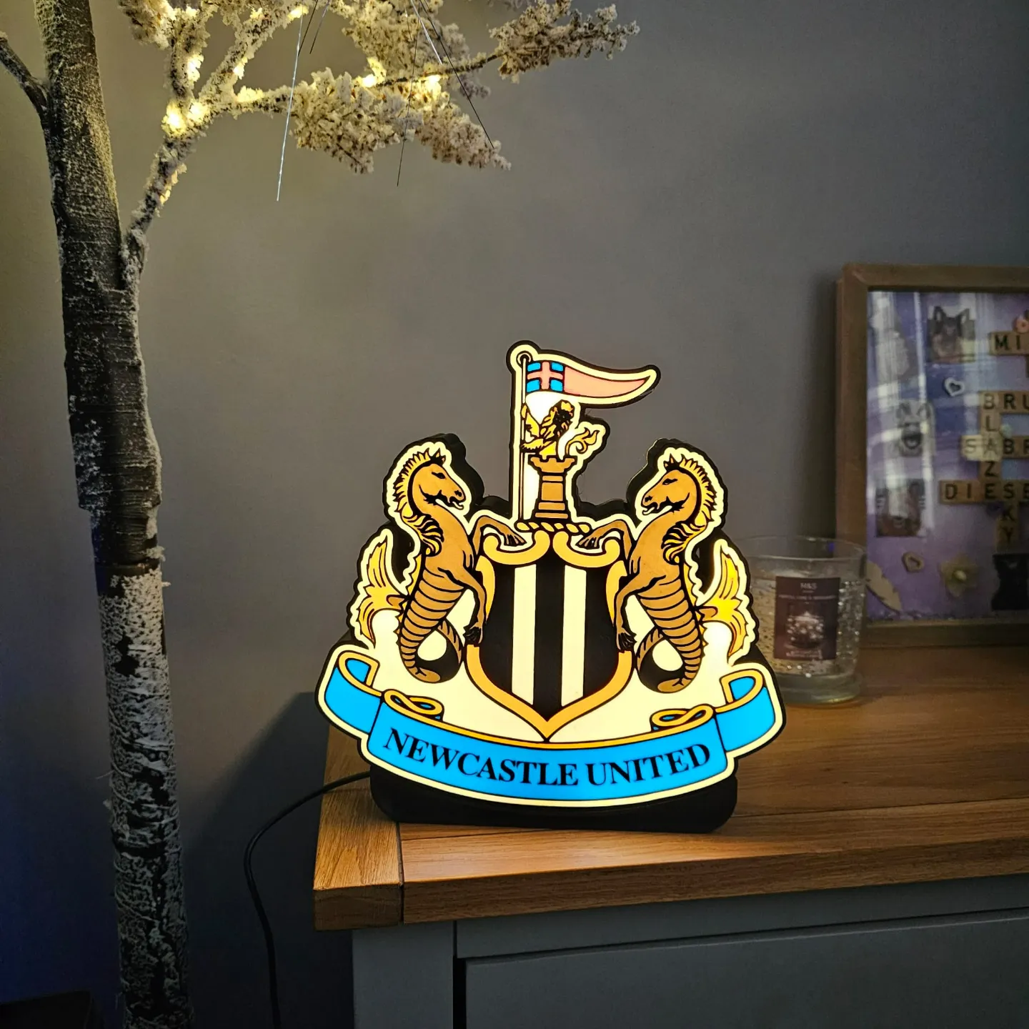 Luminária Newcastle United